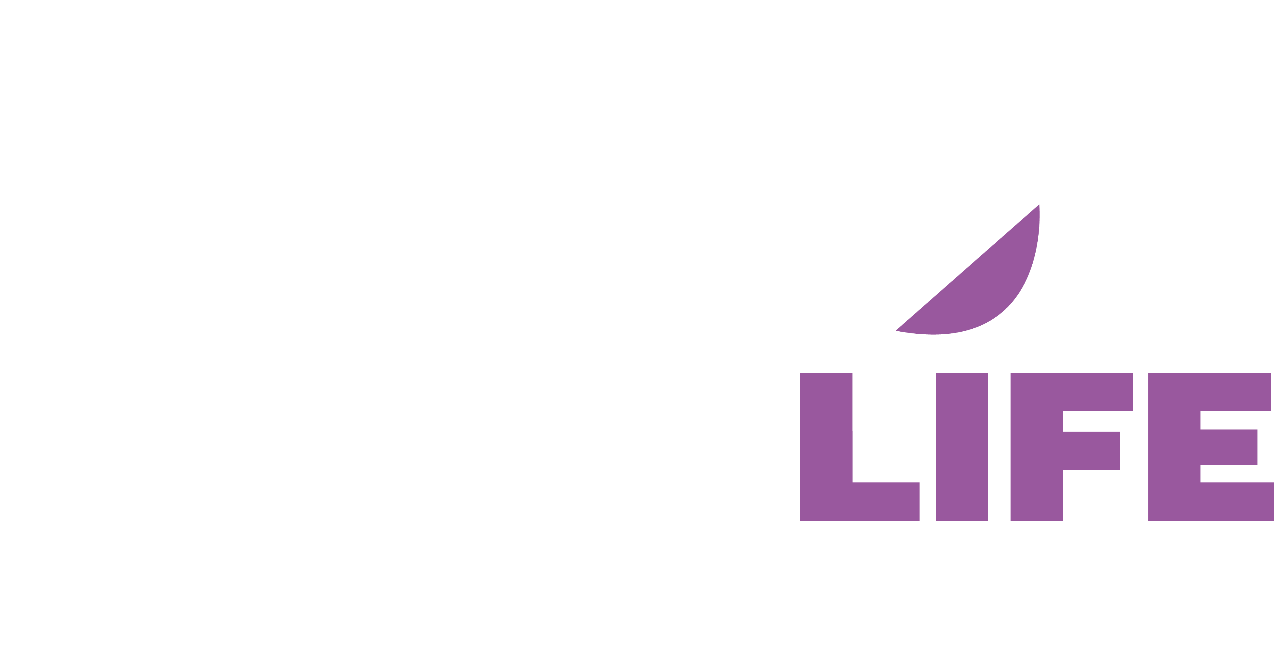Grant-Life-Self-Storage-Logo